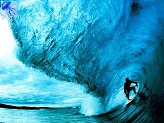 Surf, windsurfing, kite surfing, wakeboarding, Skimboarding si alte sporturi de apă