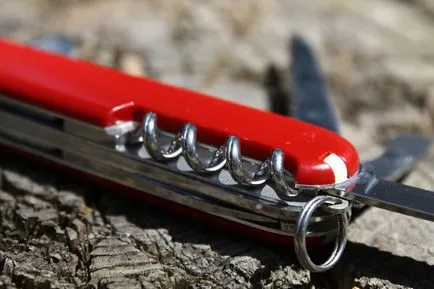 Elvețian Army Knife - viață, istorie, recenzie de fotografie, ziarul meu