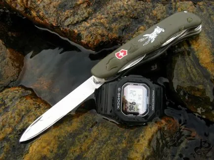Elvețian Army Knife - viață, istorie, recenzie de fotografie, ziarul meu