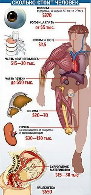 Cât costă o persoană dacă o rupe în bucăți