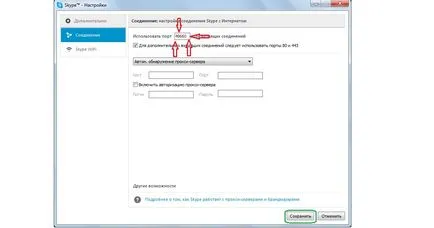 Skype nu a putut conecta