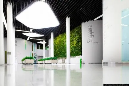 Skolkovo „centru de inovare (România) Skolkovo „centru de inovare