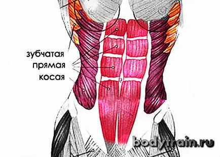 Răsucirea presa, răsucirea directă presa