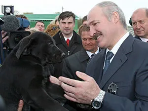 presedinti Câini