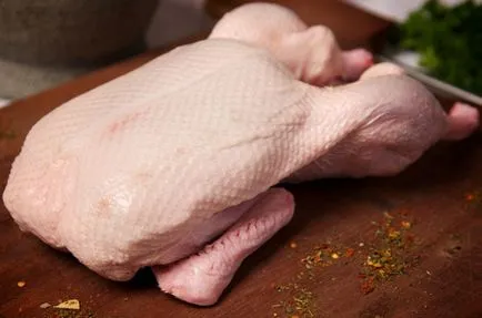 Conținutul de cultivare, rațe de reproducție în casă (condiții de creștere rață interne pentru cultivarea conținutului hranei pentru animale rațe cuib decât hrana pentru animale hrănirea rațe) Conținutul de cultivare, rațe de reproducție la domiciliu