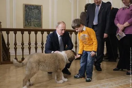 presedinti Câini