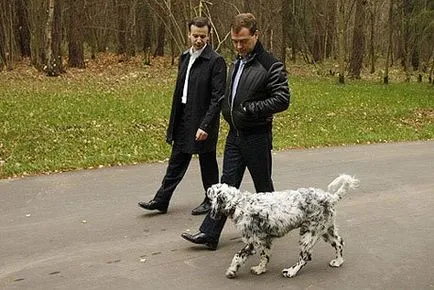 presedinti Câini