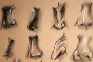 Pariuri cu pariuri pe total (total este ceea ce sensul Total Total în pariuri sportive) Pariuri cu pariuri pe total