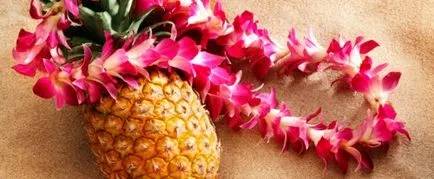 Scenariul Hawaiian petrecere, accesorii, meniuri, costume, fotografii și video (à la carte) Scenariul Hawaiian petrecere, accesorii, meniuri, costume, fotografii și video