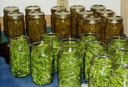 fasole verde - beneficii și rău, ceea ce este util fasole verde