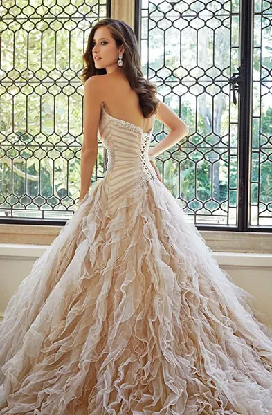 Rochii de mireasa cu corset care este motivul pentru succesul (dantela dreapta sus corset) Rochii de mireasa cu corset ceea ce motivul succesului