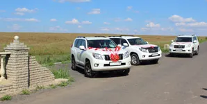 procesiune de nunta toyota