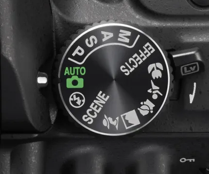 Ce să caute atunci când cumpără un DSLR (de cumpărare) Ce să caute atunci când cumpără un DSLR