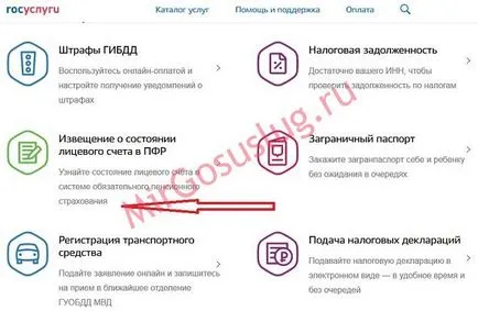 Este posibil să se elibereze și să primească servicii guvernamentale prin snils