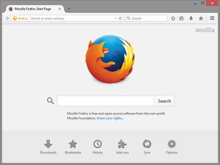 Mozilla FireFox - ce fel de program, oameni de calculator