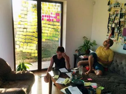 Numele exemplelor de organizare