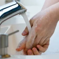 Suc de dovleac și proprietățile sale utile (compus activ) Suc de dovleac și proprietățile sale benefice