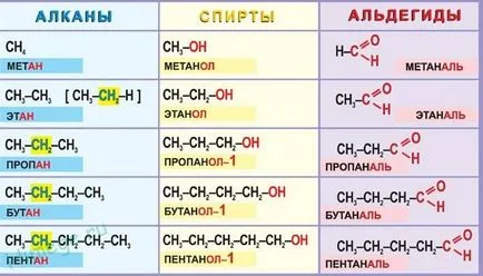 Teoria structurii compuși organici, omologi și izomeri