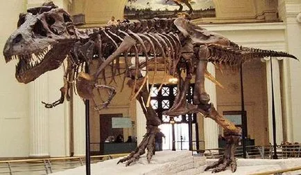 Tyrannosaurus - dinozauri carnivori