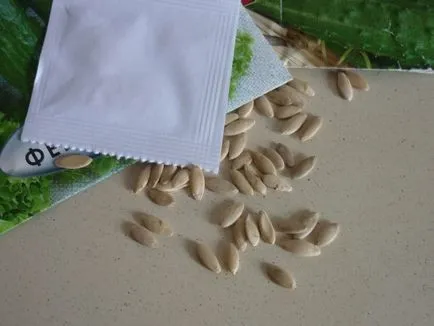 pat cald pentru castraveți cum să facă alte, cât de departe a plantelor, foto, video