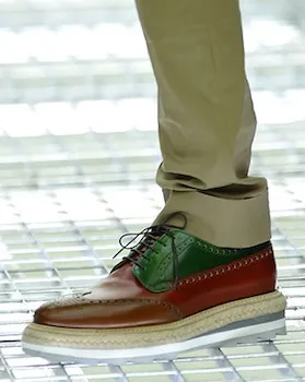 Pantofi, enciclopedie de moda
