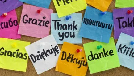 Top 6 traducători din engleză - prezentarea generală a celor mai populare servicii și programe de traducere -