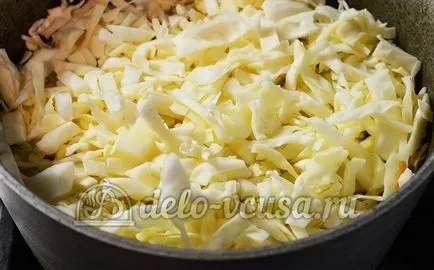pui Compot reteta pas cu pas (10 imagini) (varză cu pași de pui) varză Fiert cu pas reteta de pui cu pas (10 poze)
