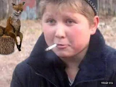 vulpi Uporotyh, unde a venit
