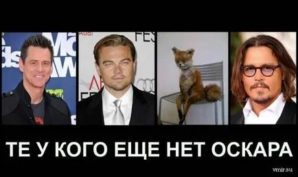 vulpi Uporotyh, unde a venit