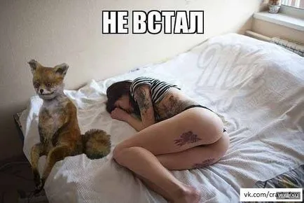 vulpi Uporotyh, unde a venit