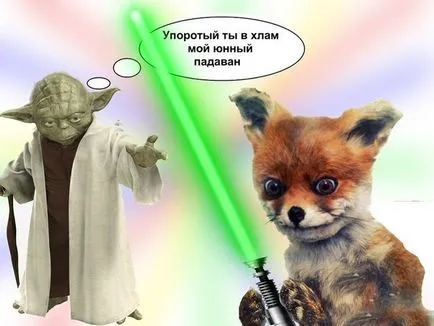 Uporotyh Fox „- prima clatita nu este cocoloase (primul) Uporotyh Fox „- prima clatita nu este o brazdă