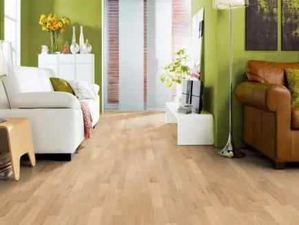Grija pentru laminat - mijloace pentru a avea grijă de laminat