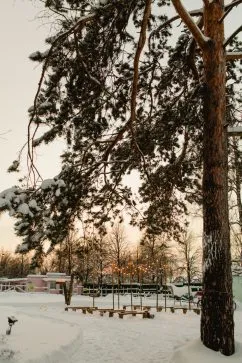 Vals de zăpadă nunta Eugene și Anton