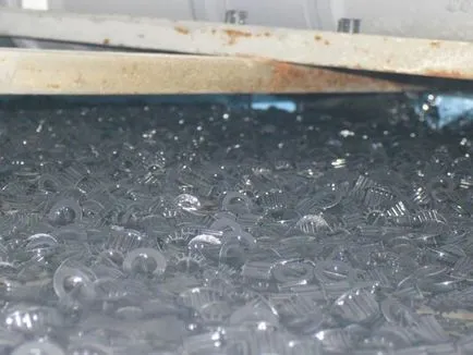 RAS și AquaPonie proprii mâini