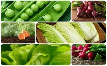 usturoi de plantare de primăvară cu privire la toate regulile (de usturoi) usturoi de plantare de primăvară pe toate regulile