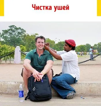usturoi de plantare de primăvară cu privire la toate regulile (de primăvară) usturoi de plantare de primăvară pe toate regulile