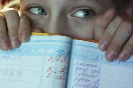 Fac cerințele de studiu jurnal școlar