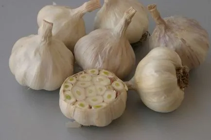 usturoi de plantare de primăvară pe toate regulile (toate) usturoi de plantare de primăvară pe toate regulile