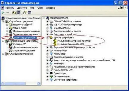 Prin platforma de dispozitiv controler, care este acest program și dacă este necesar