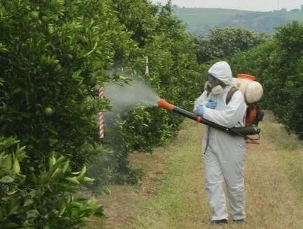 Primăvară pulverizare pomi fructiferi și arbuști (pulverizare) pulverizarea de primăvară de pomi fructiferi și arbuști