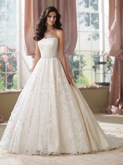 Tipuri de rochii de mireasa cu corset este rochie de dantelă de nunta (rochie) Tipuri de rochii de mireasa cu corset este dantelă rochie de mireasa