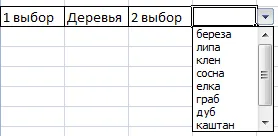 Lista drop-down în Excel folosind instrumente sau macro-uri