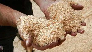 Cultivarea secrete broiler de afaceri profitabile