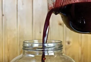Vinul de casă din fructe de padure