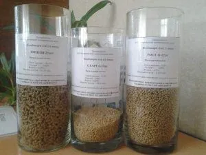 Cultivarea secrete broiler de afaceri profitabile