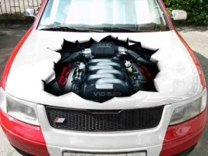 autocolante de vinil pe mașini - foto și video de fabricație și de lipire