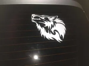 autocolante de vinil pe mașini - foto și video de fabricație și de lipire