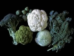 Cultivarea broccoli, grădină cresc!