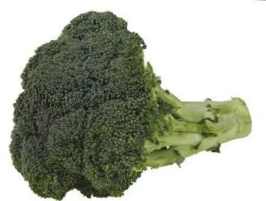 Cultivarea broccoli, grădină cresc!