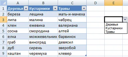 Lista drop-down în Excel folosind instrumente sau macro-uri